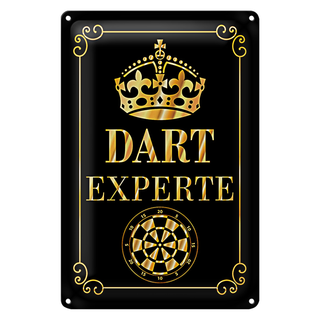 Blechschild Spruch 20x30cm Dart Experte Krone