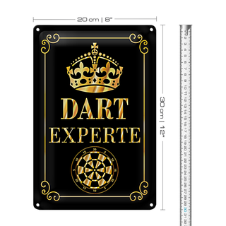 Blechschild Spruch 20x30cm Dart Experte Krone