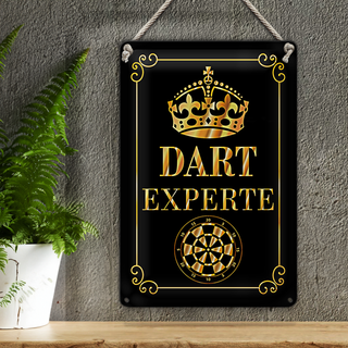 Blechschild Spruch 20x30cm Dart Experte Krone