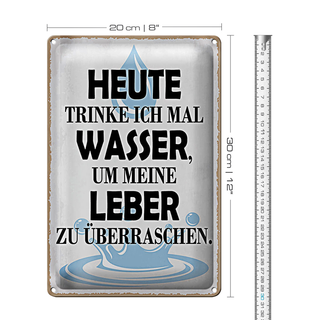 Blechschild Spruch 20x30cm heute trinke ich Wasser Leber