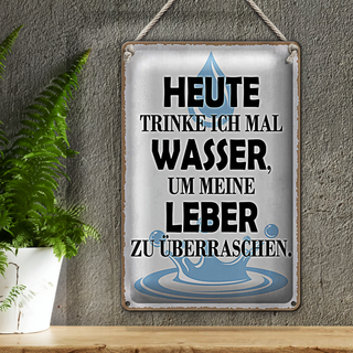 Blechschild Spruch 20x30cm heute trinke ich Wasser Leber