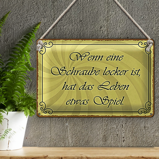 Blechschild Spruch 30x20cm Schraube locker Leben Spiel