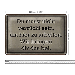 Blechschild Spruch 30x20cm du musst nicht verrückt sein arbeiten