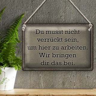 Blechschild Spruch 30x20cm du musst nicht verrückt sein arbeiten