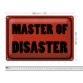 Blechschild Spruch 30x20cm Master of Disaster