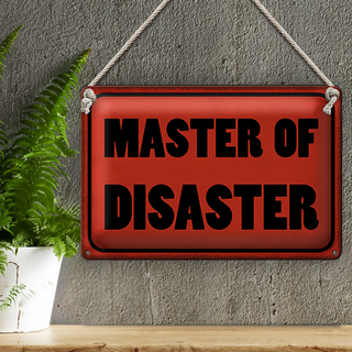 Blechschild Spruch 30x20cm Master of Disaster