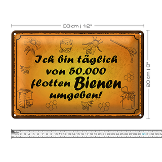 Blechschild Spruch 30x20cm von 50000 flotten Bienen umgeben