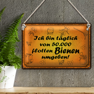 Blechschild Spruch 30x20cm von 50000 flotten Bienen umgeben