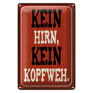 Blechschild Spruch 20x30cm kein Hirn kein Kopfweh