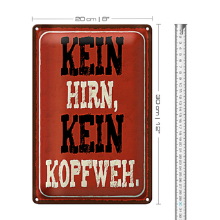 Blechschild Spruch 20x30cm kein Hirn kein Kopfweh