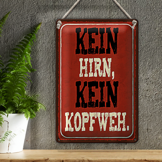 Blechschild Spruch 20x30cm kein Hirn kein Kopfweh