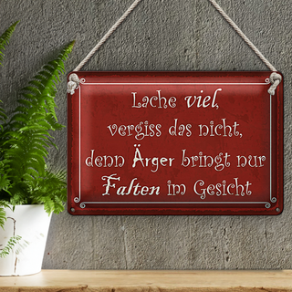 Blechschild Spruch 30x20cm lache viel Ärger bringt Falten