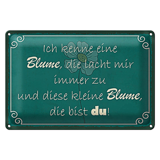 Blechschild Spruch 30x20cm ich kenne eine Blume die bist du