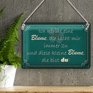 Blechschild Spruch 30x20cm ich kenne eine Blume die bist du