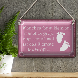 Blechschild Spruch 30x20cm manches fängt klein an manches