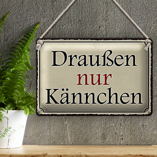 Blechschild Spruch 30x20cm draußen nur Kännchen Cafe