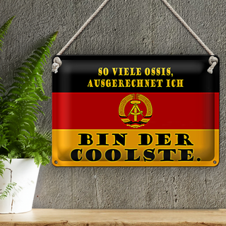 Blechschild Spruch 30x20cm so viele Ossis bin der coolste