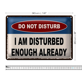 Blechschild Spruch 30x20cm do not disturb a am disturbed
