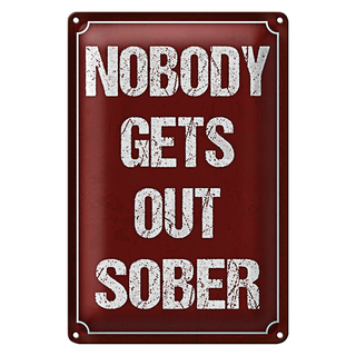 Blechschild Spruch 20x30cm nobody gets out sober
