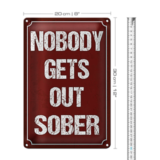 Blechschild Spruch 20x30cm nobody gets out sober
