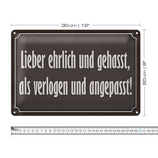 Blechschild Spruch 30x20cm lieber ehrlich und gehasst als