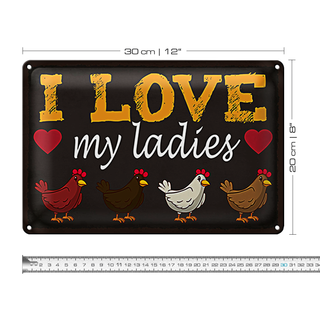 Blechschild Spruch 30x20cm Hühner i love my ladies