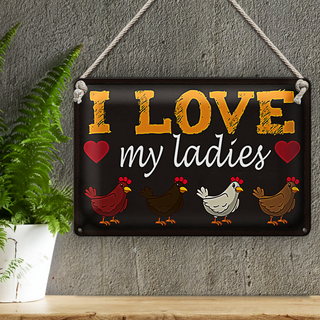 Blechschild Spruch 30x20cm Hühner i love my ladies