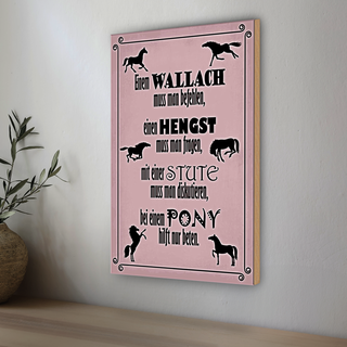 Holzschild Spruch 20x30cm Pferde Wallah Hengst Pony Stute