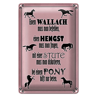 Blechschild Spruch 20x30cm Pferde Wallah Hengst Pony Stute