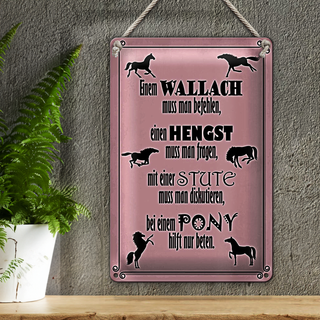 Blechschild Spruch 20x30cm Pferde Wallah Hengst Pony Stute