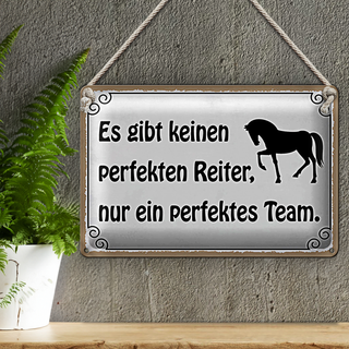 Blechschild Spruch 30x20cm es gibt keinen perfekten Reiter