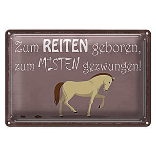 Blechschild Spruch 30x20cm zum Reiten geboren Pferd