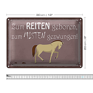 Blechschild Spruch 30x20cm zum Reiten geboren Pferd