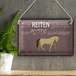 Blechschild Spruch 30x20cm zum Reiten geboren Pferd
