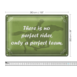 Blechschild Spruch 30x20cm there is no perfect rider only