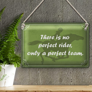 Blechschild Spruch 30x20cm there is no perfect rider only