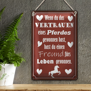 Blechschild Spruch 20x30cm Vertrauen eines Pferdes Freund