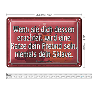 Blechschild Spruch 30x20cm Katze dein Freund niemals Sklave