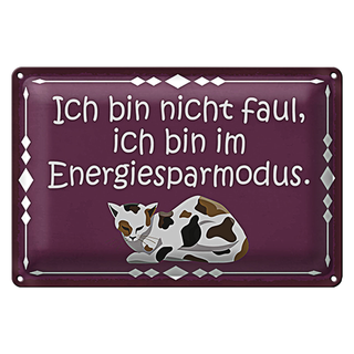 Blechschild Spruch 30x20cm Katze ich bin nicht faul bin im