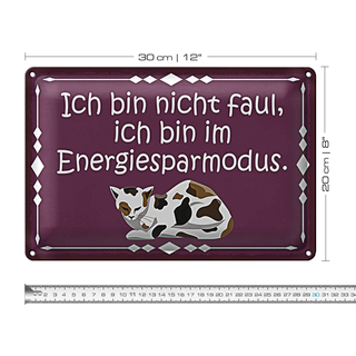 Blechschild Spruch 30x20cm Katze ich bin nicht faul bin im