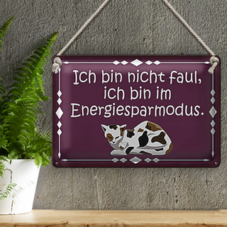 Blechschild Spruch 30x20cm Katze ich bin nicht faul bin im