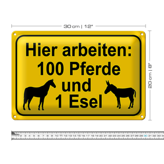 Blechschild Hinweis 30x20cm arbeiten 100 Pferde und 1 Esel