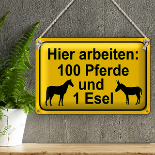 Blechschild Hinweis 30x20cm arbeiten 100 Pferde und 1 Esel