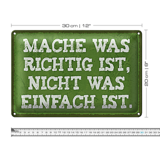Blechschild Spruch 30x20cm mache was richtig nicht einfach