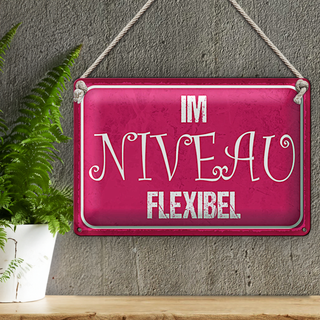Blechschild Spruch 30x20cm Im NIVEU flexibel