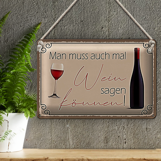 Blechschild Spruch 30x20cm Man muss mal Wein sagen können