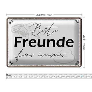 Blechschild Spruch 30x20cm beste Freunde für immer