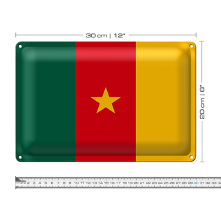 Blechschild Flagge Kamerun 30x20cm Flag of Cameroon