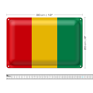 Blechschild Flagge Guinea 30x20cm Flag of Guinea