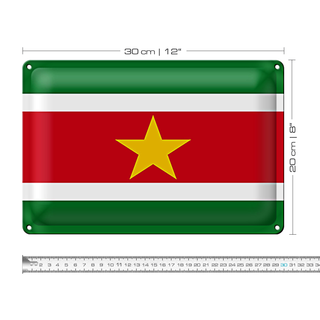 Blechschild Flagge Suriname 30x20cm Flag of Suriname